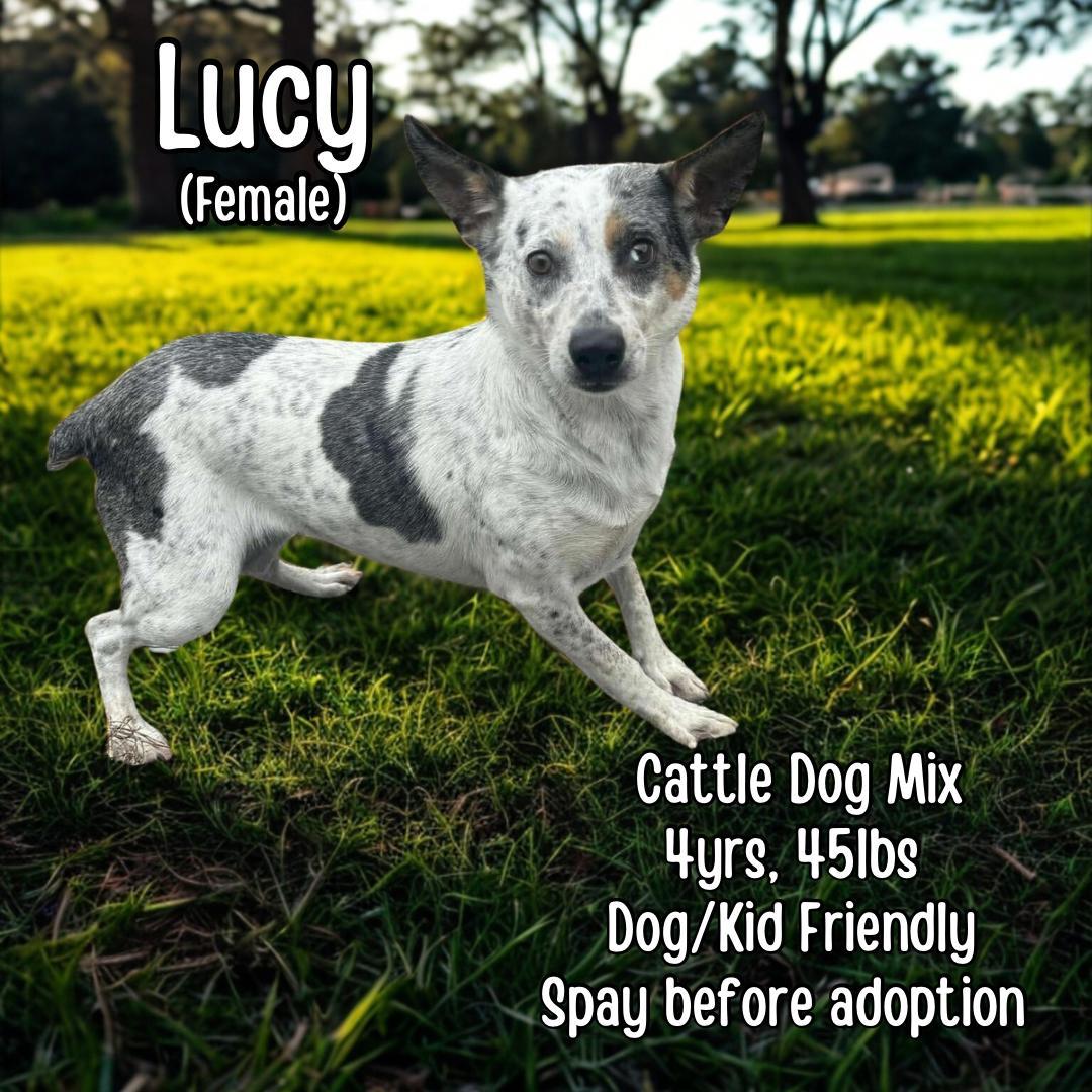 Lucy