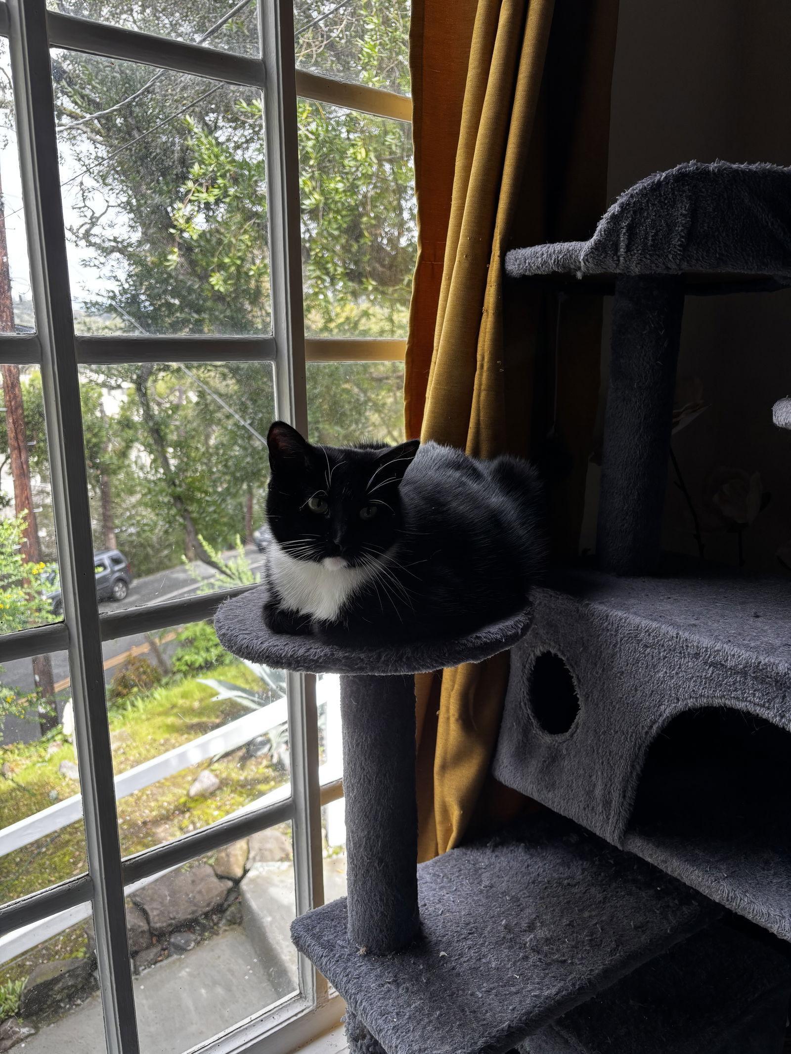 Wednesday And Morticia Addams