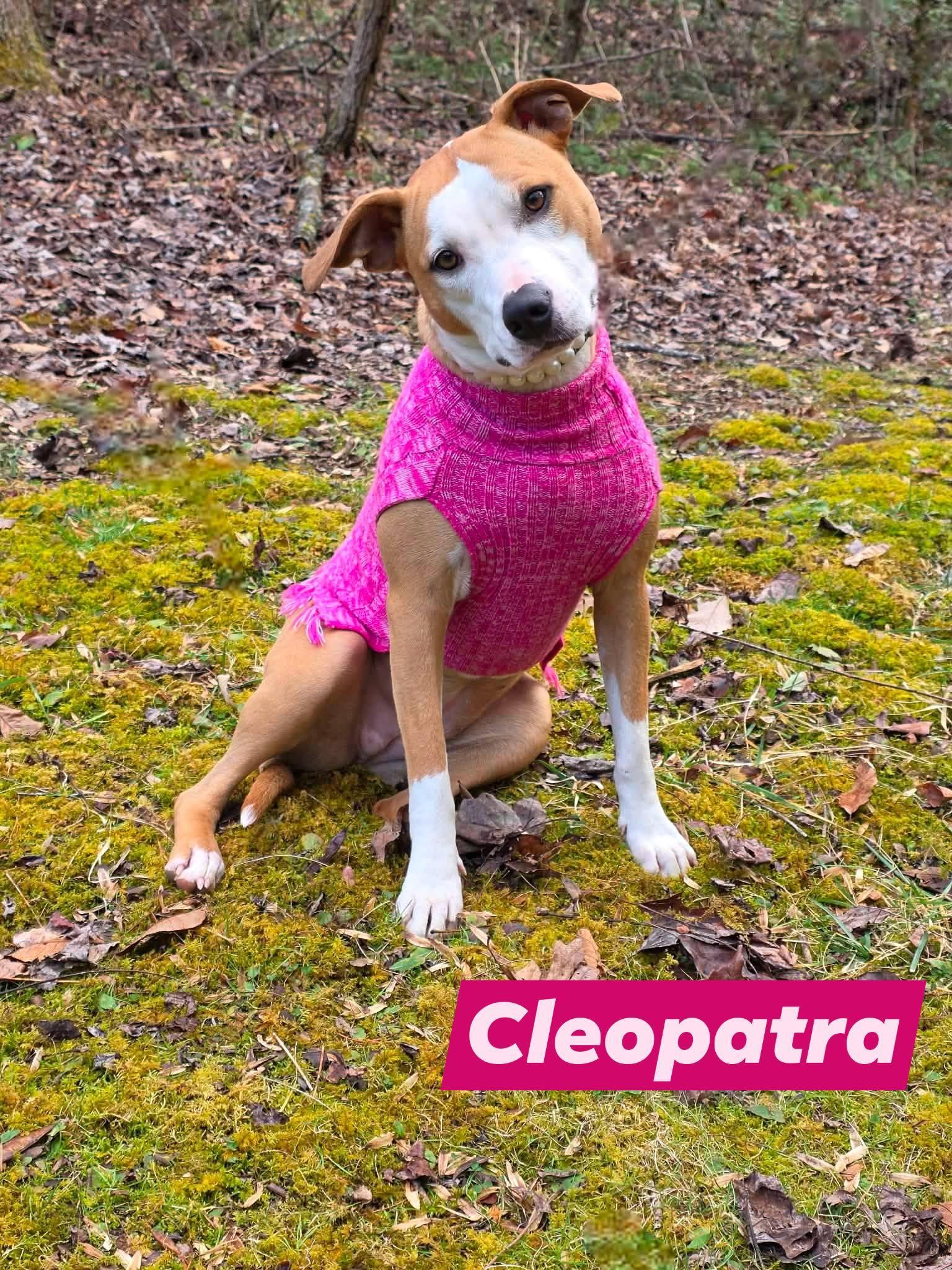 Cleopatra