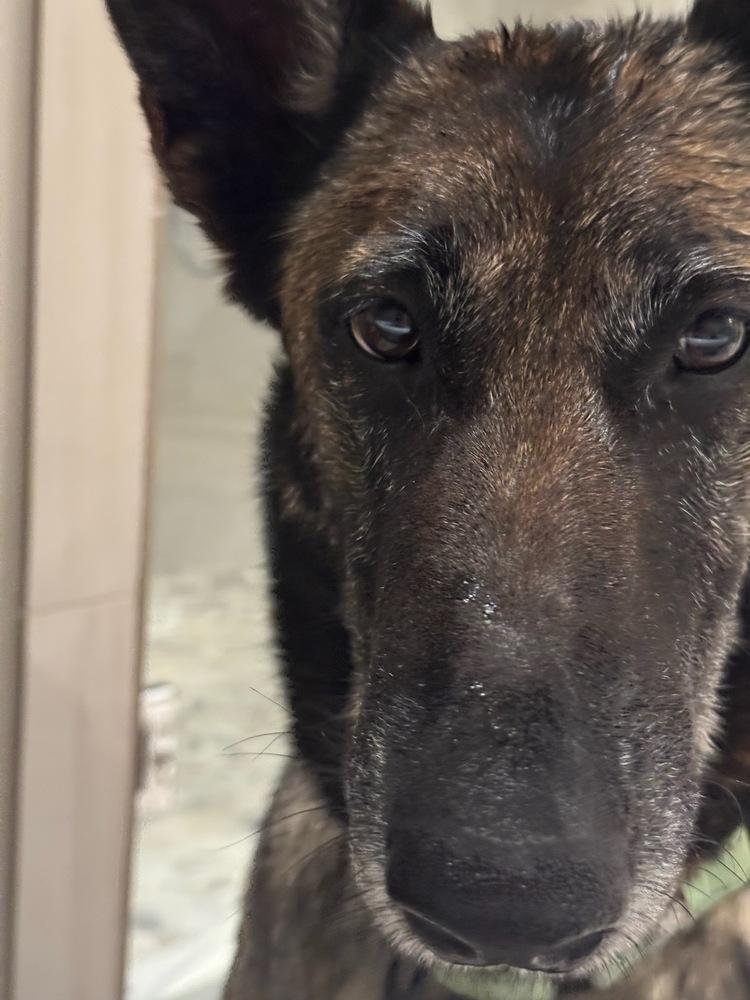 Lady Jade Located In