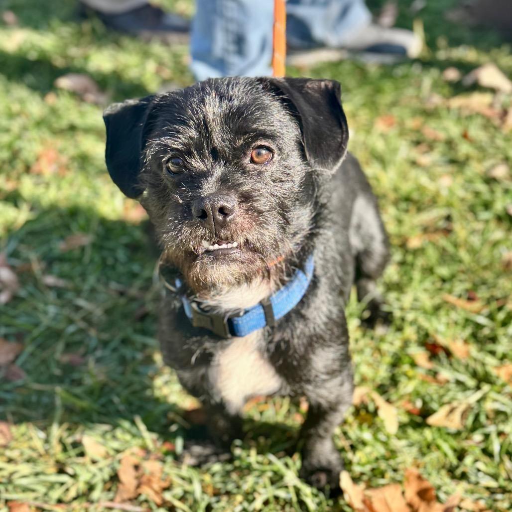 Stormy Chino Hills Location