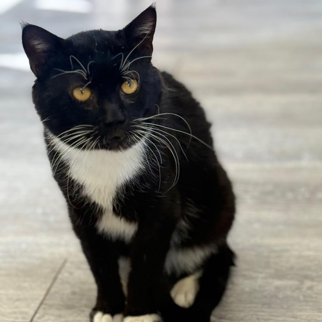 Fishy Glub Glub photo 1