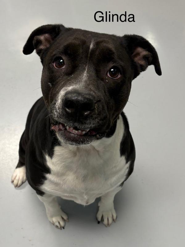 Glinda
