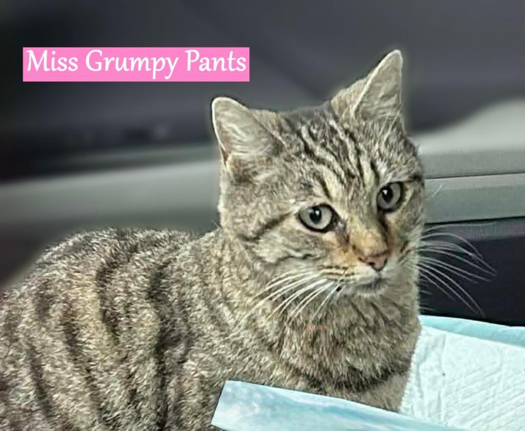 Ms. Grumpy Pants