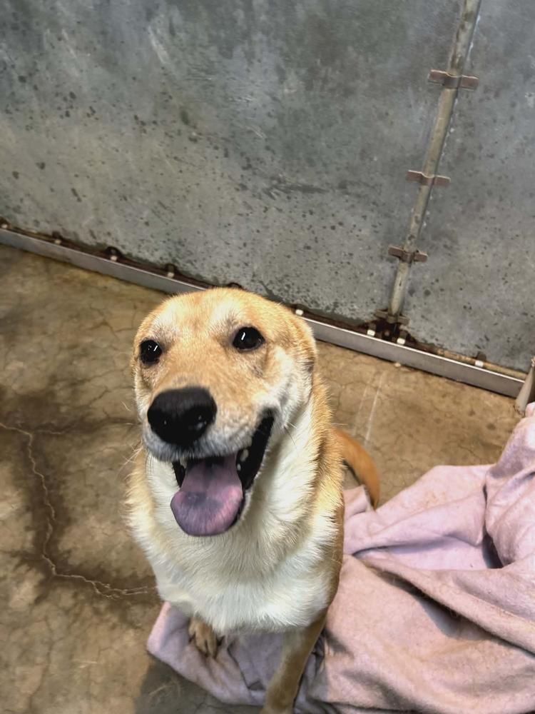 Craig From Accounting