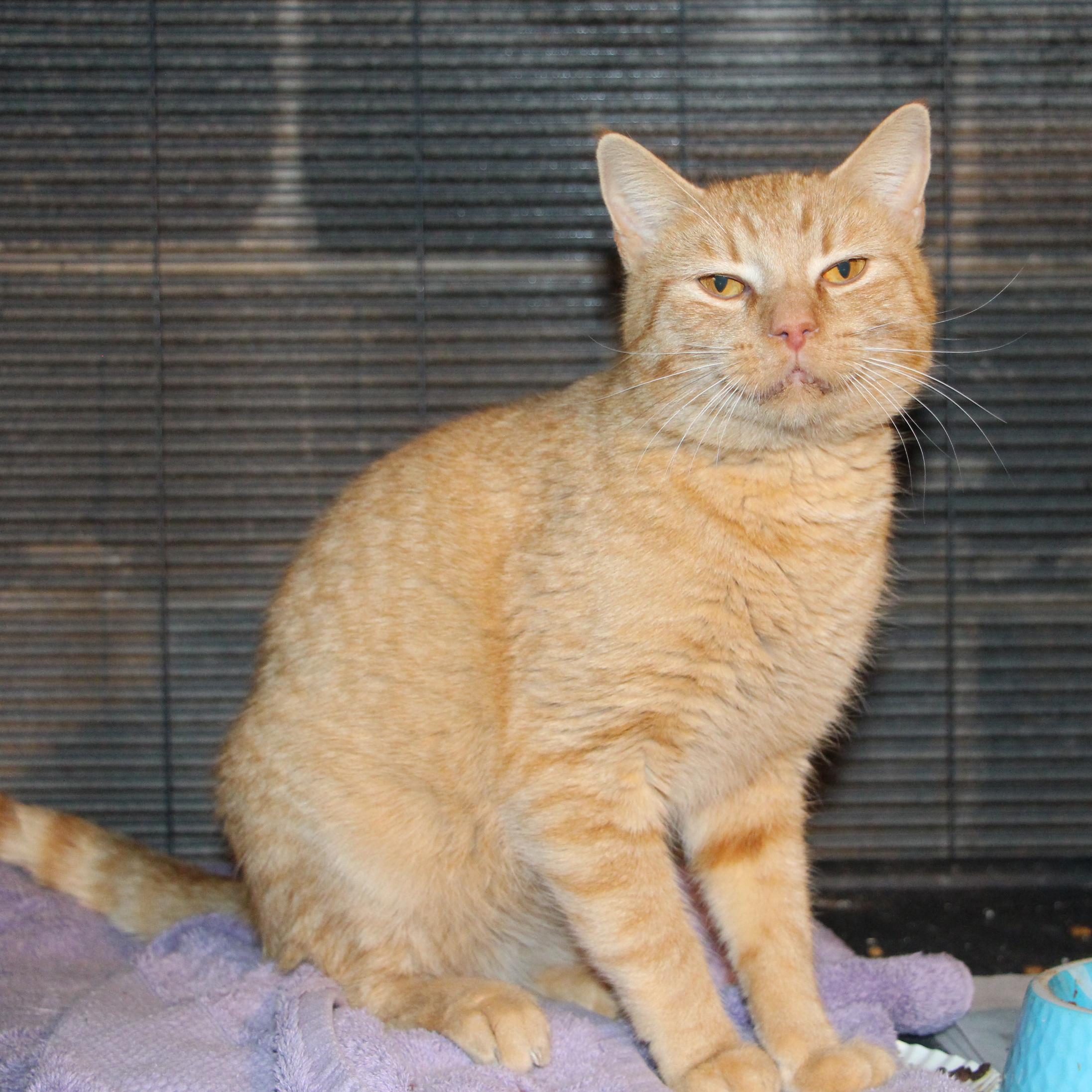 Duncan Meet Me photo 1