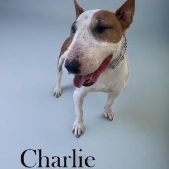 Charlie