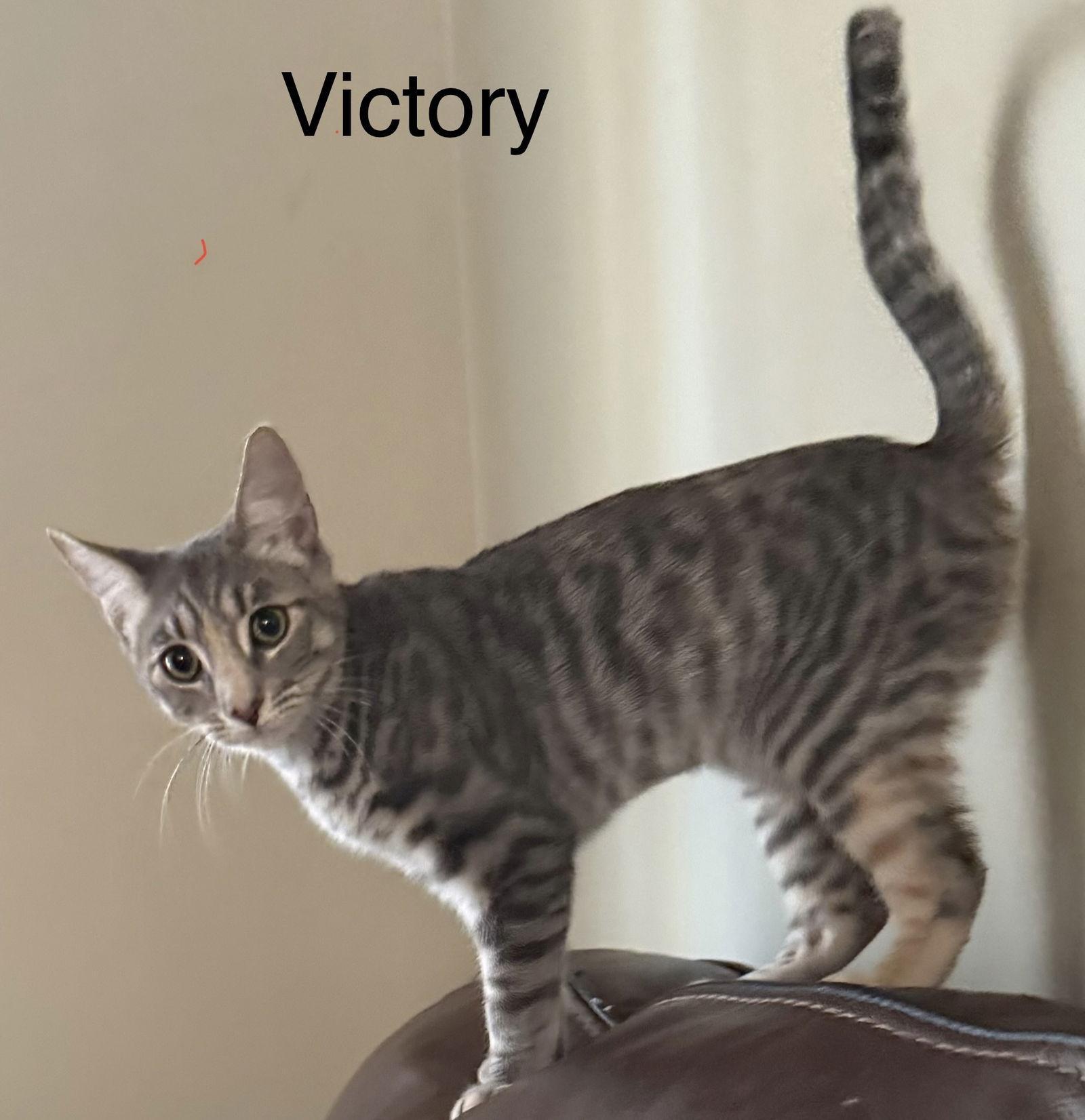 Victory