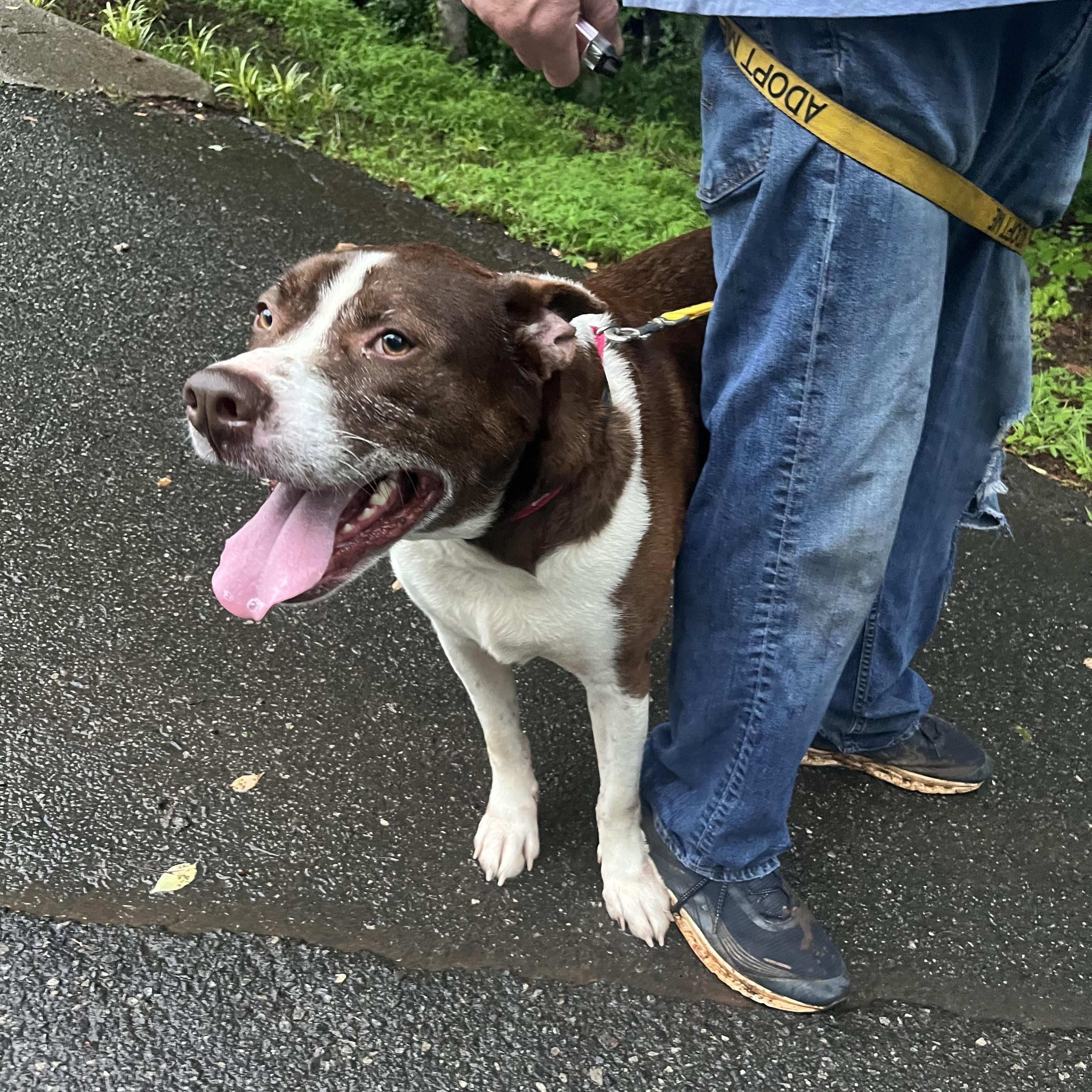 Milo Located In Asheville