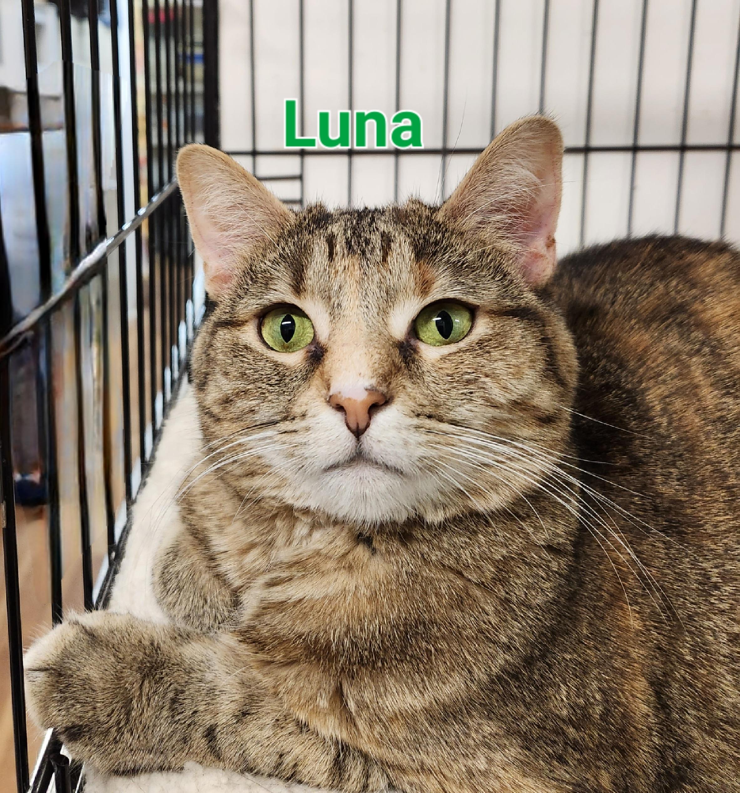 Luna
