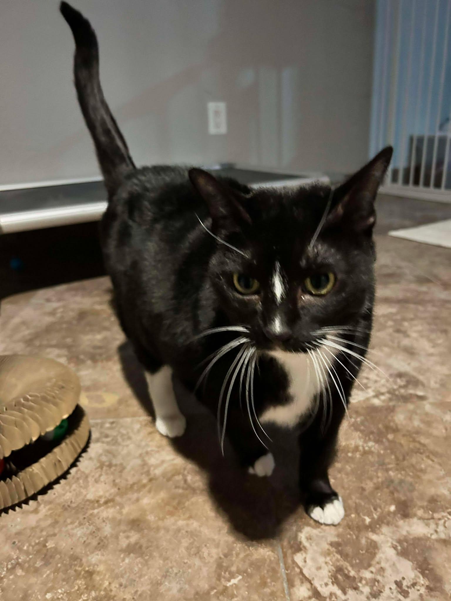 Boots & Jett photo 1