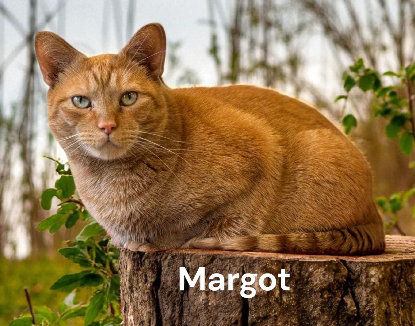 Margot