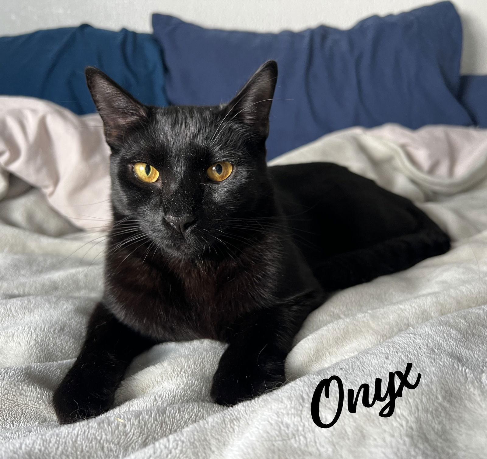 Onyx Carstowaway