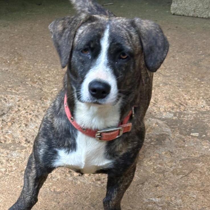 Lola Faith "i Believe