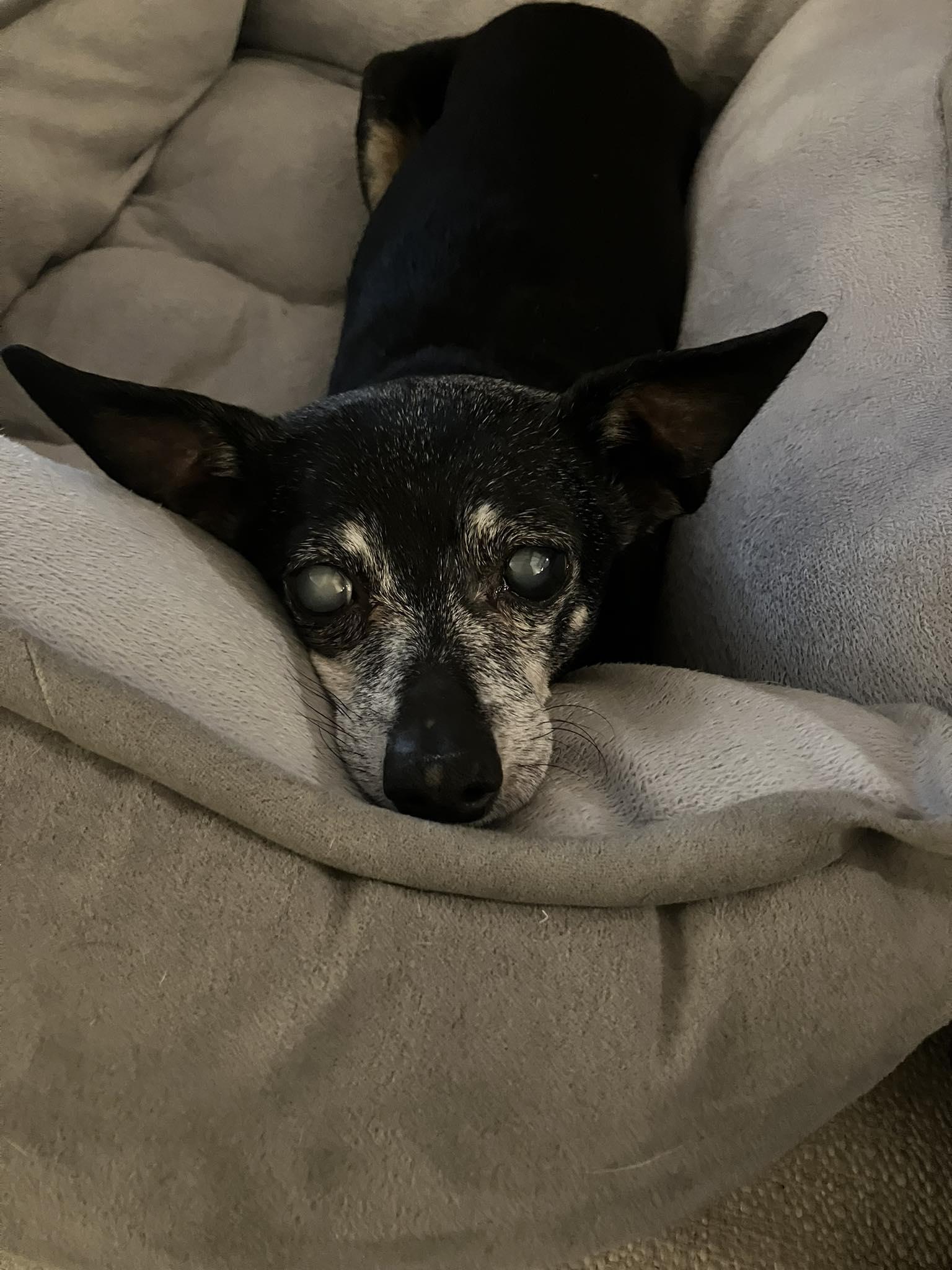 Snookie Loving Old Ladies