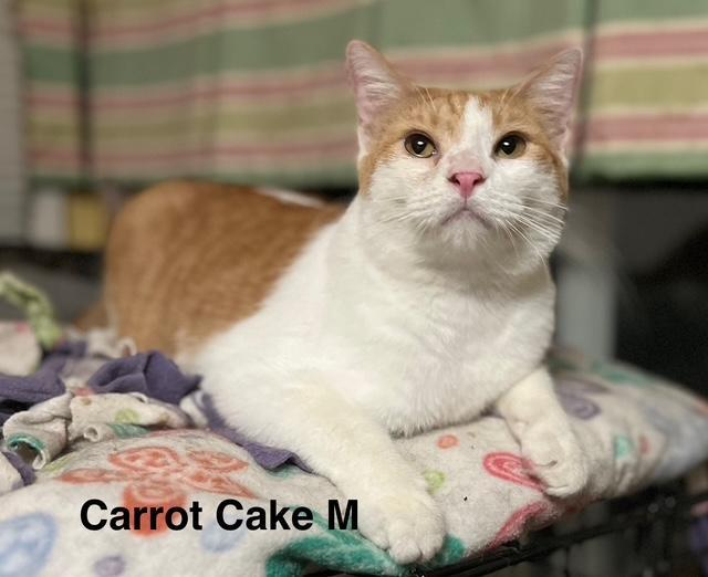 Carrot Cake