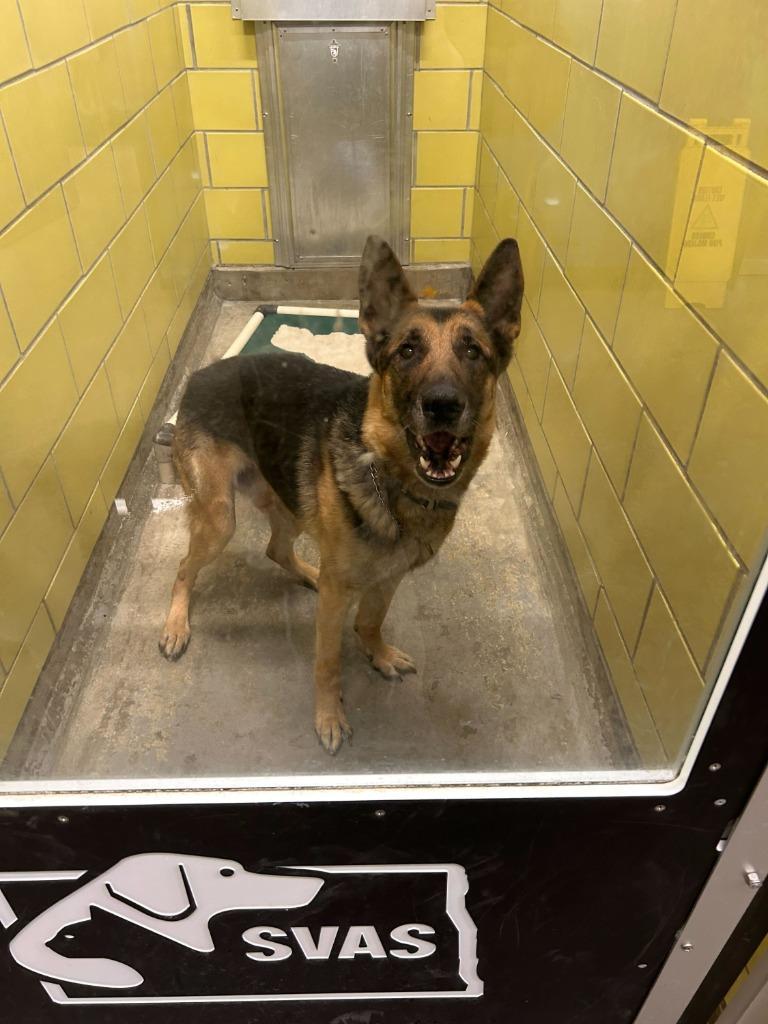 Criminal Justice photo 1