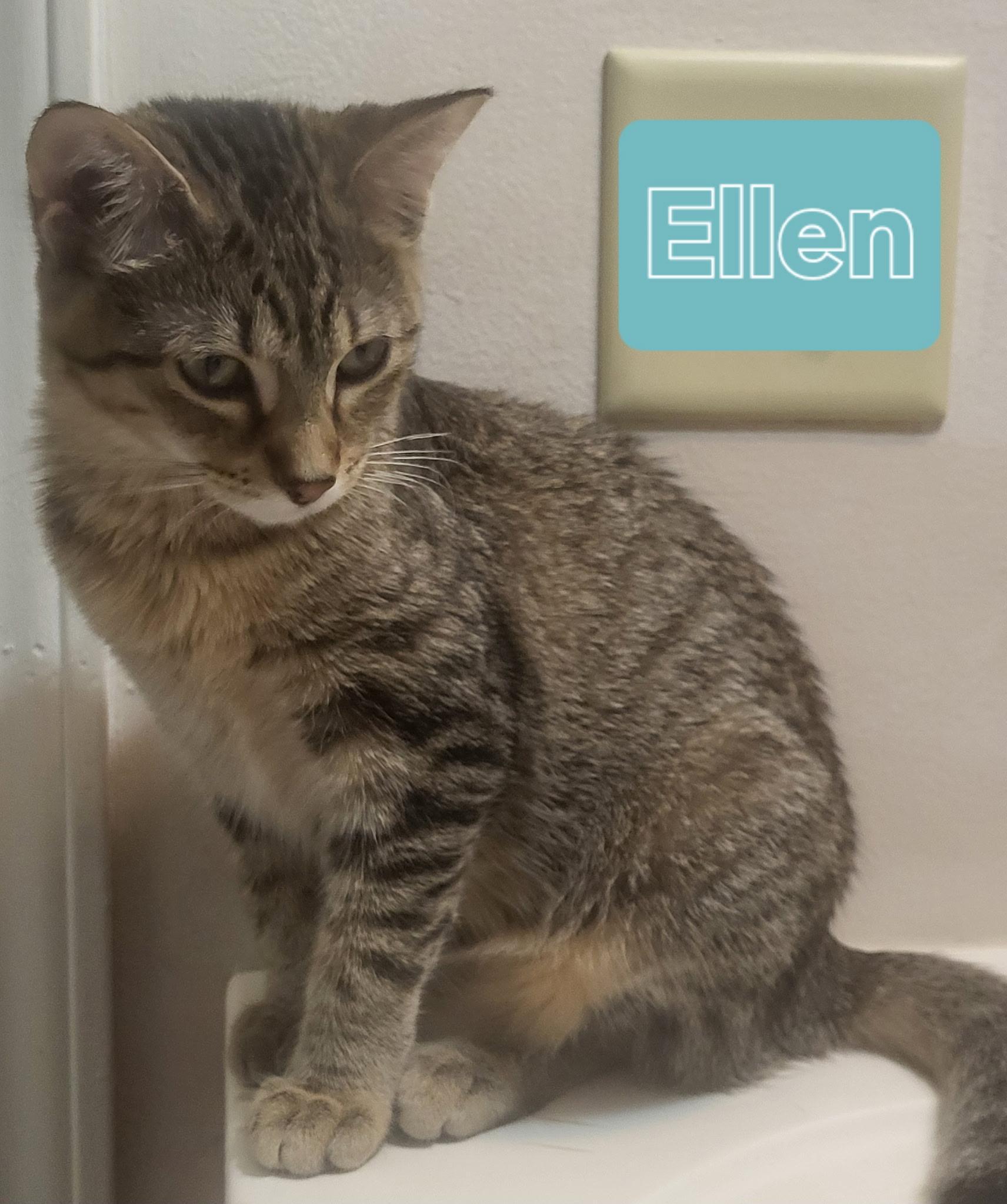 Ellen