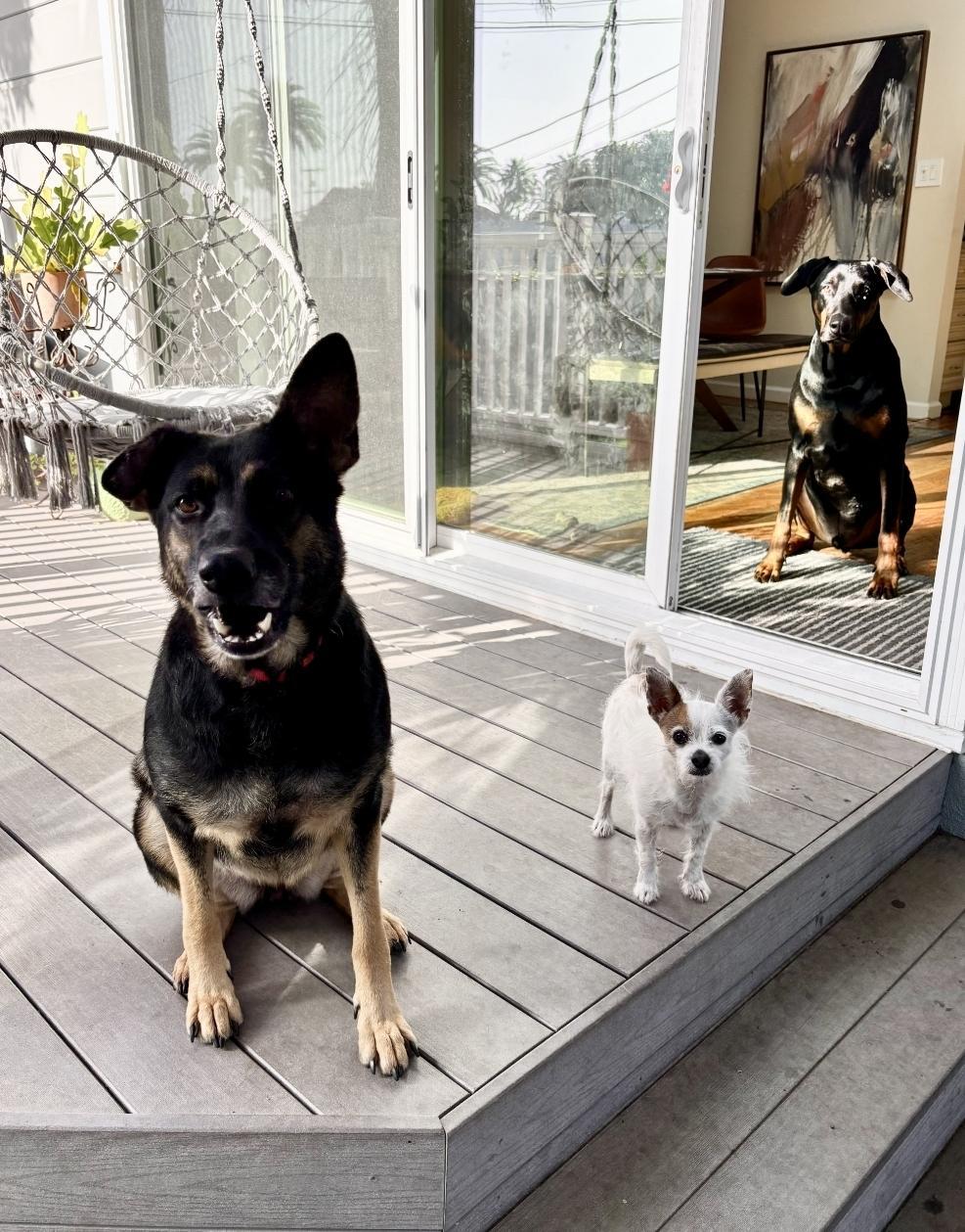 Quinn Medicine Woman!