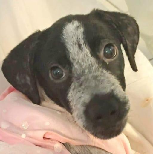 Grace Ann "your Perfect