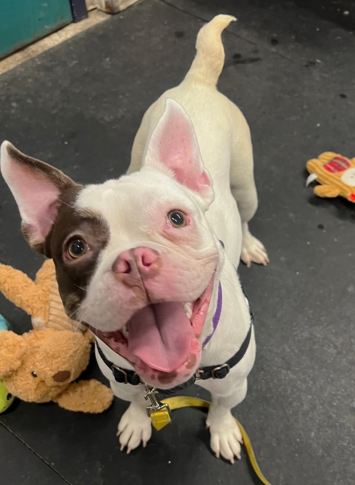 Thumbelinasuch A Funny Character!