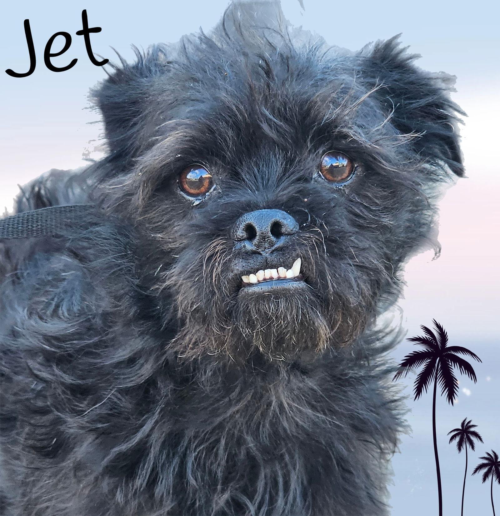 Jet