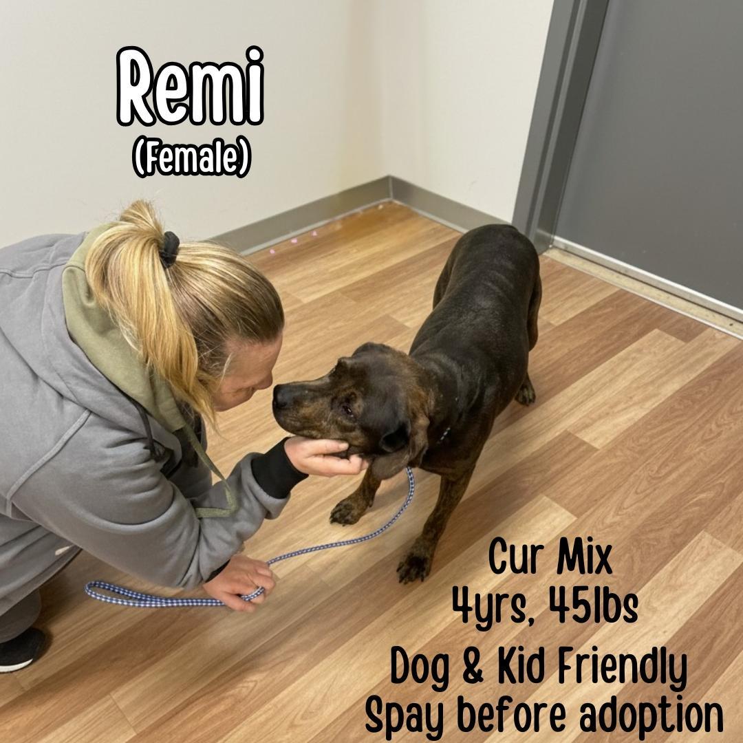 Remi