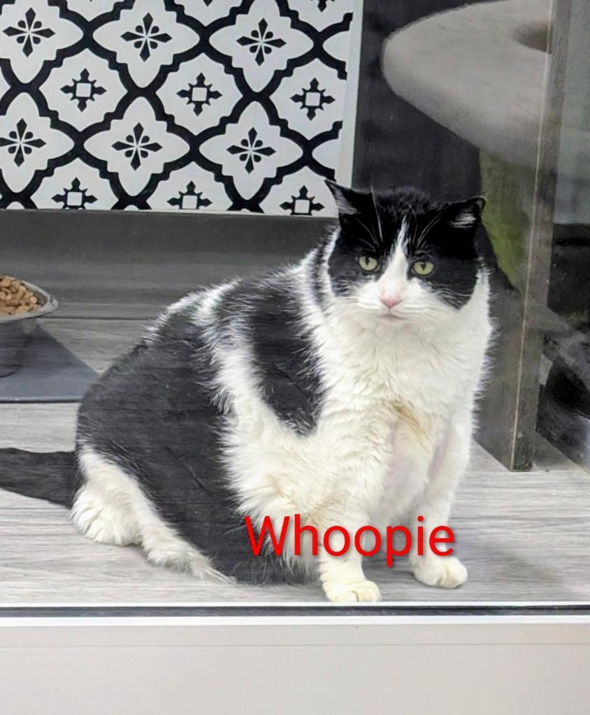 Whoopie