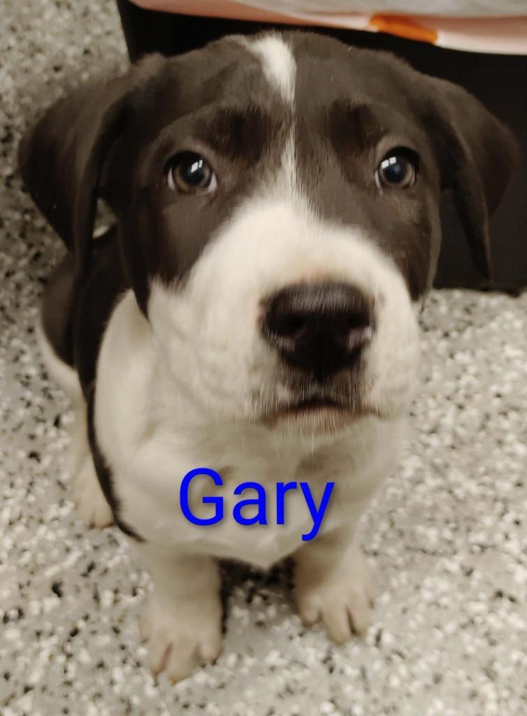 Gary