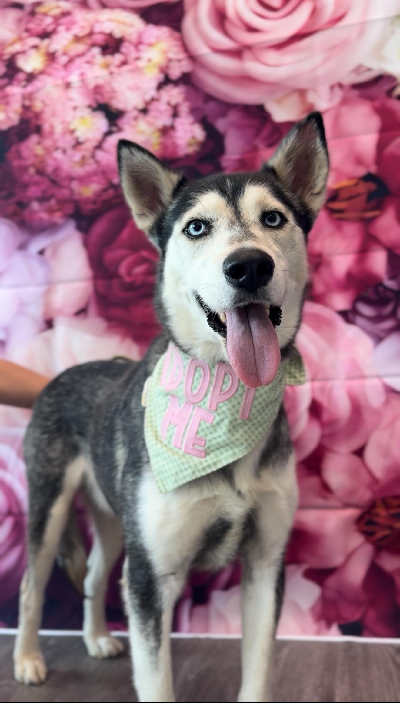 Benjamin Franklin "ben"