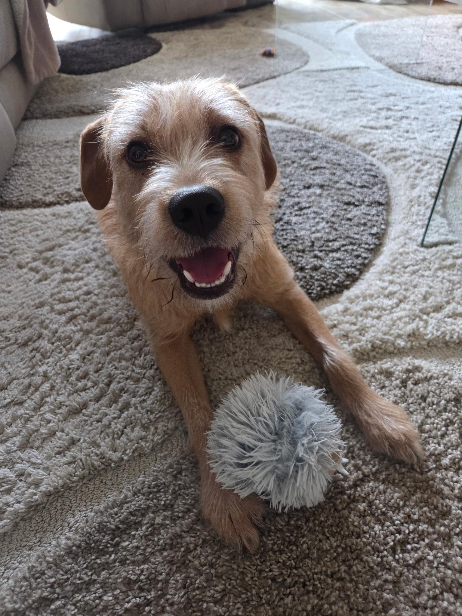 Jenkins; Those Eyes!