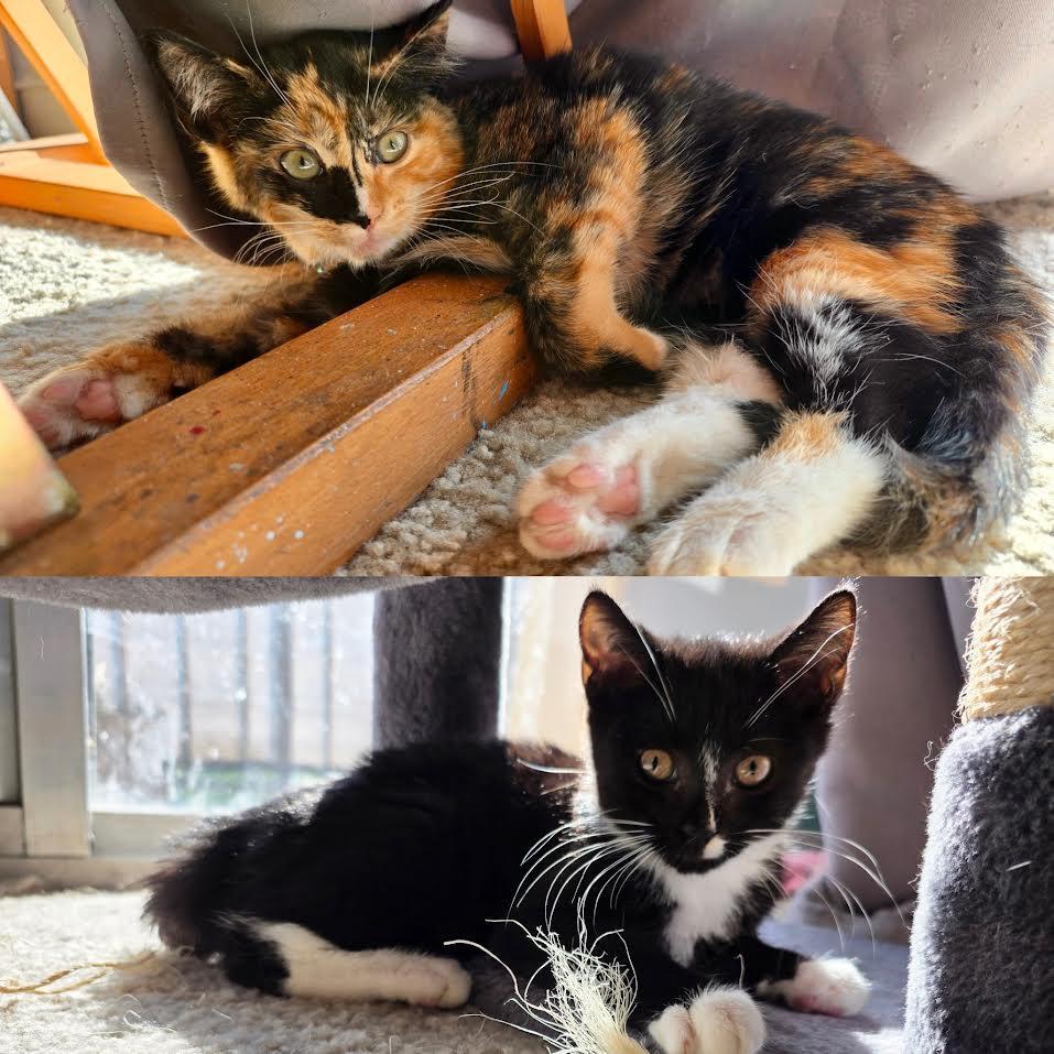 Fennel And Billie photo 1