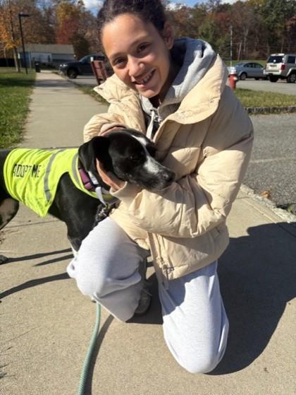 An adult medium-sized female Terrier dog named Peppa Pig for adoption in Madison, NJ