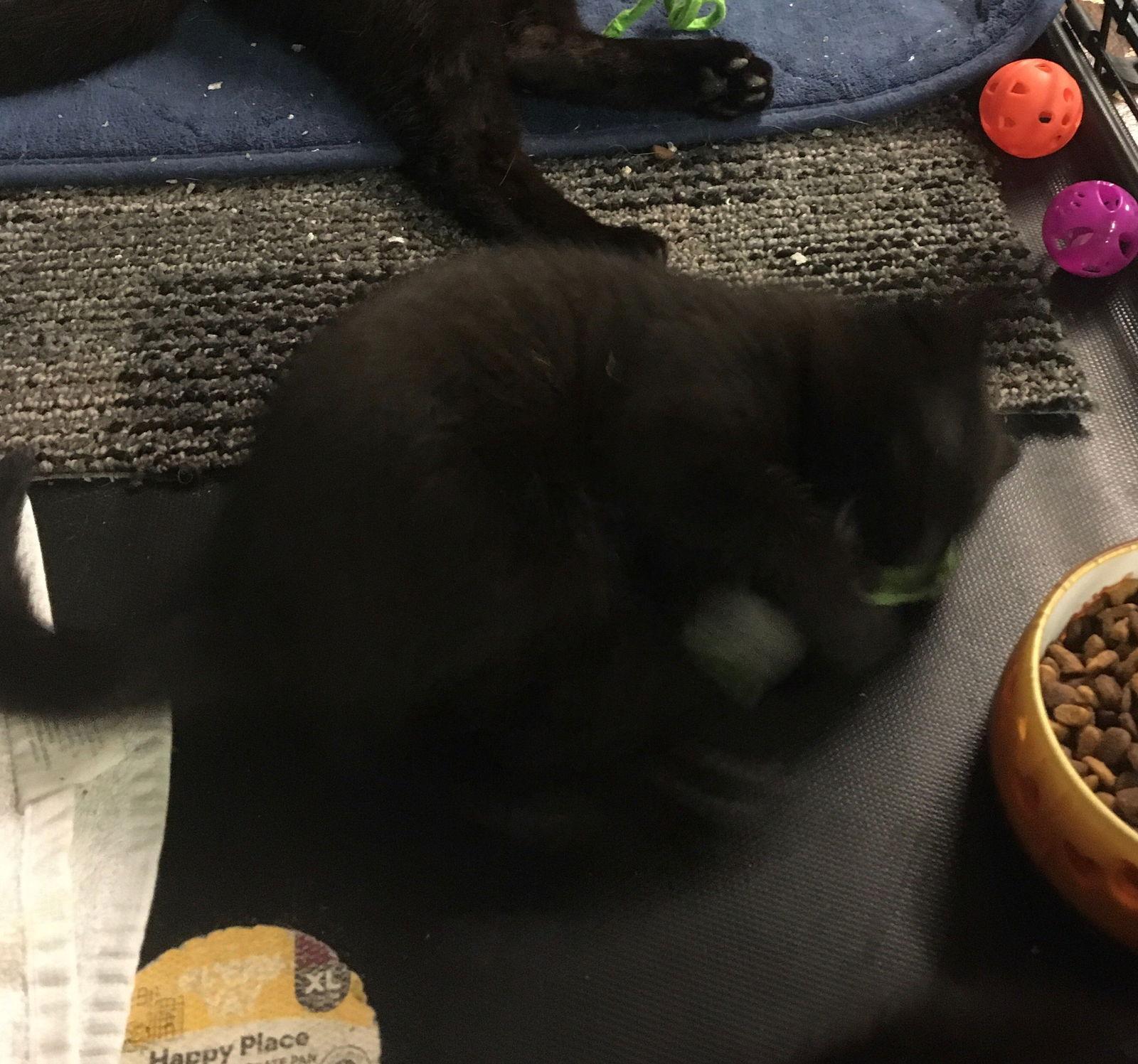 Britney Bonded With Betsy