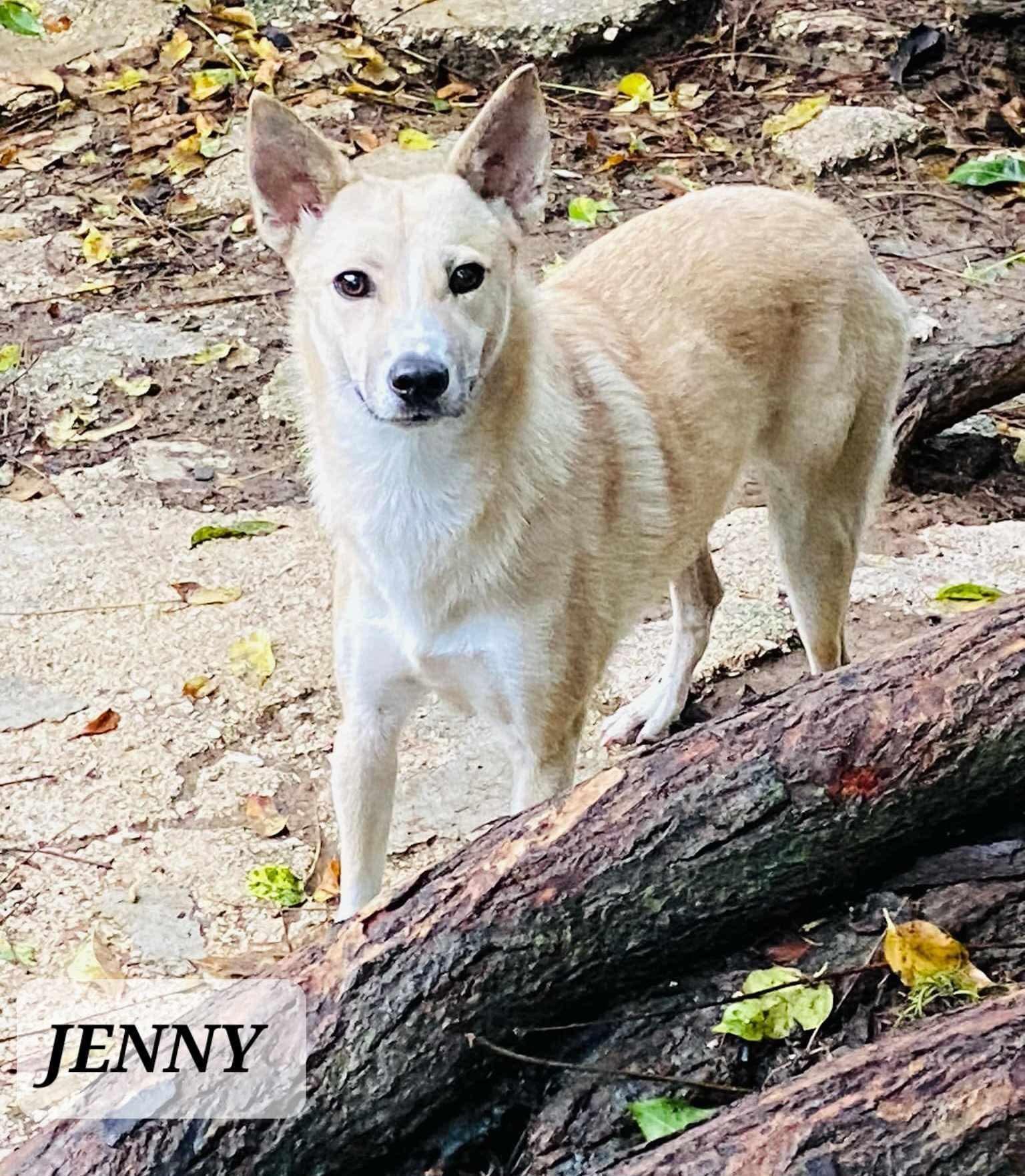 Jenny photo 1