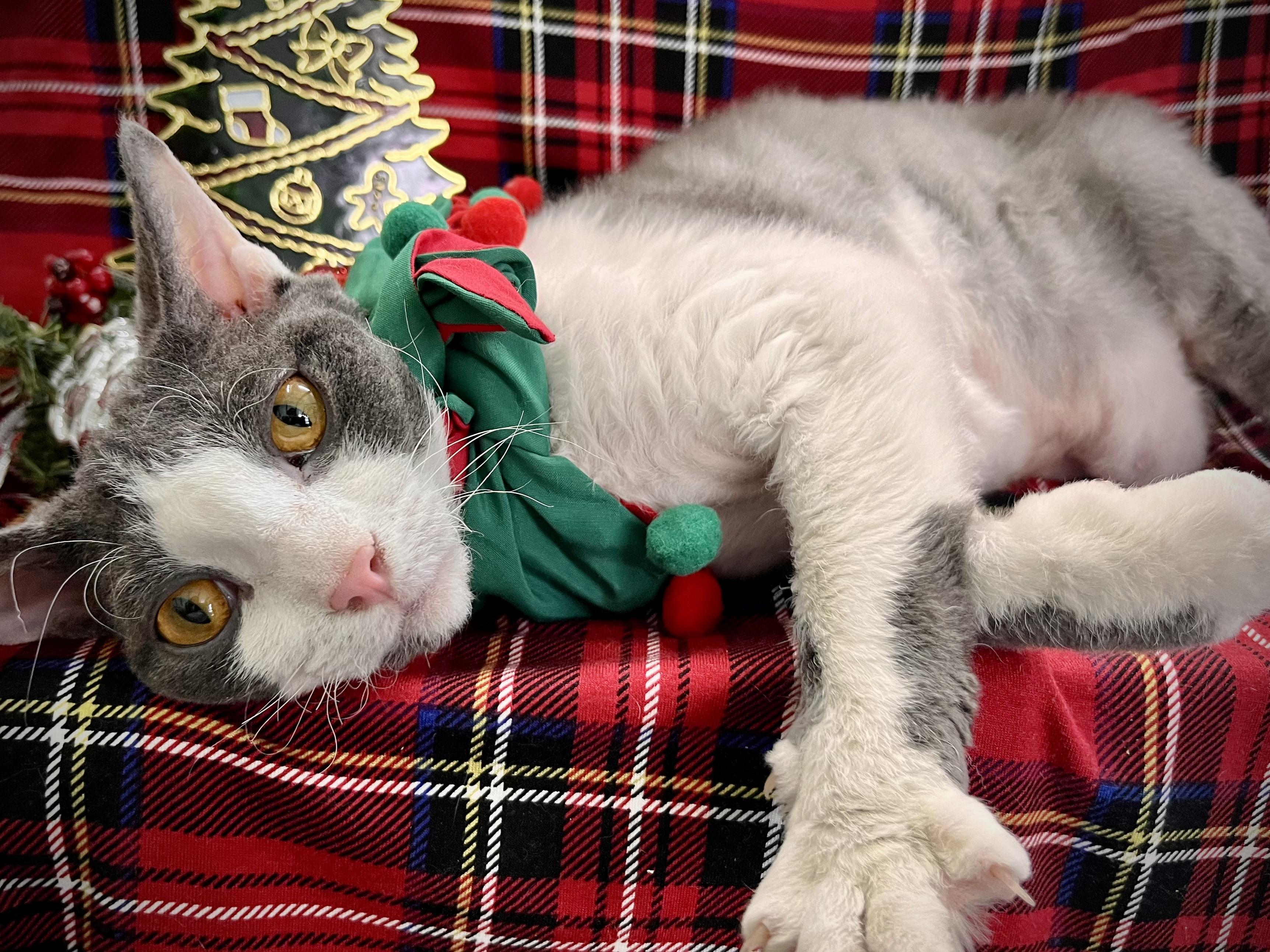 Benny And Ivey photo 1