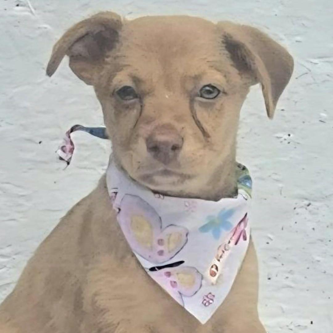 Romina "i Am Ready photo 1