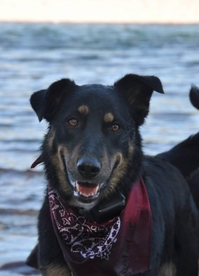 Rajah Courtesy Listing