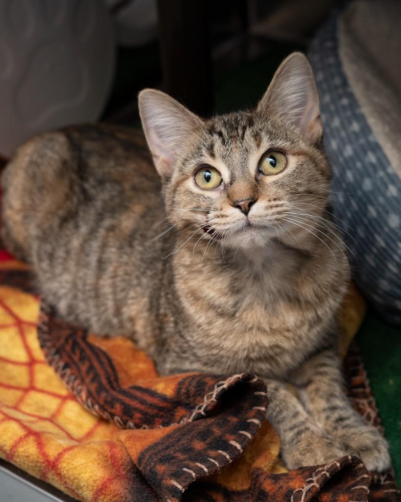 Laura Bonded With Paul