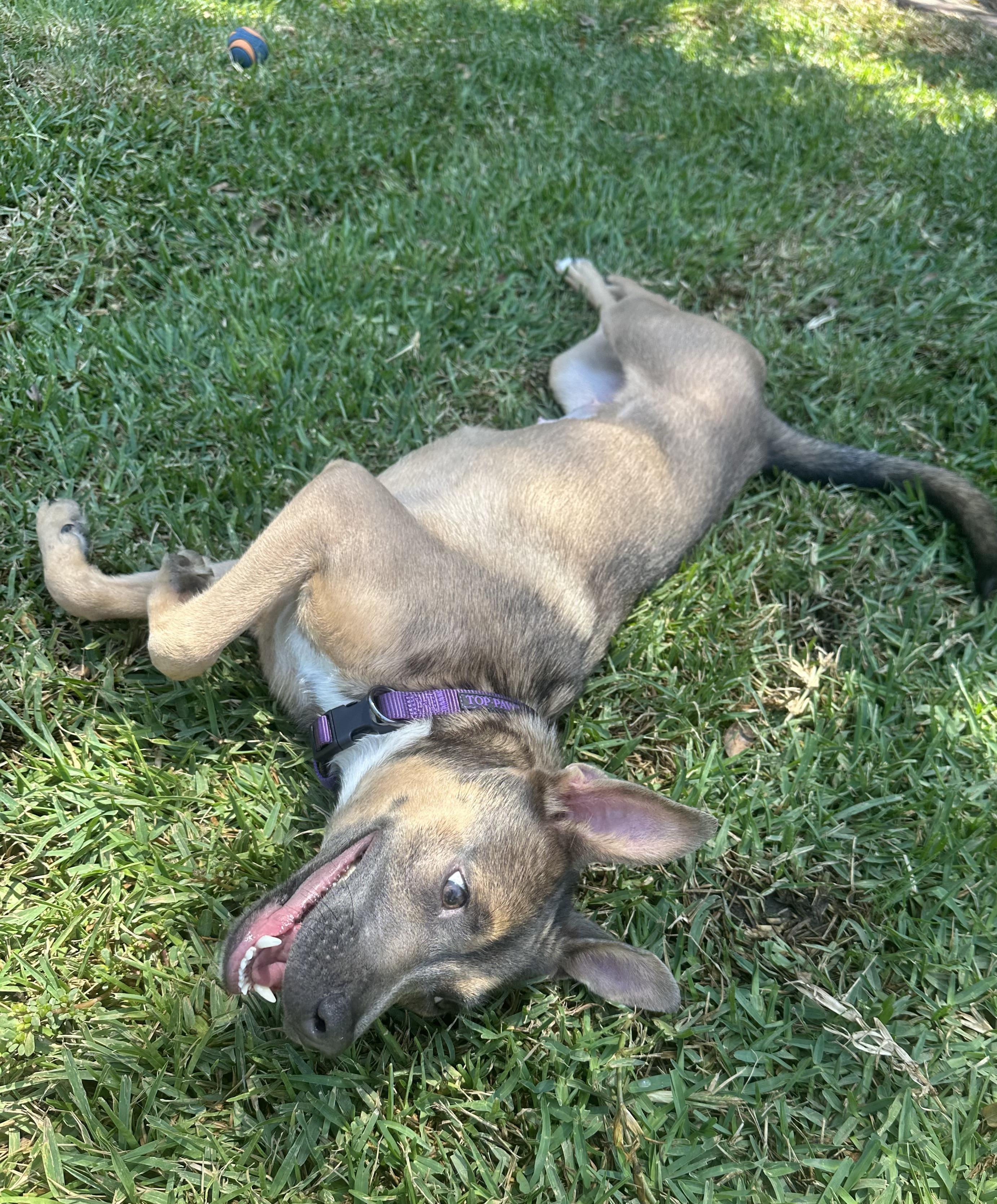 Ms. Frankie Valentina!