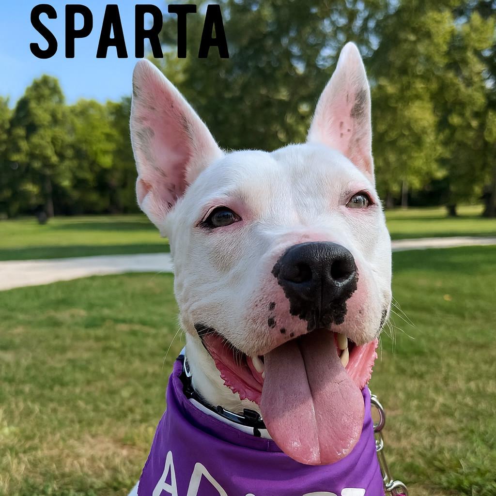 Sparta
