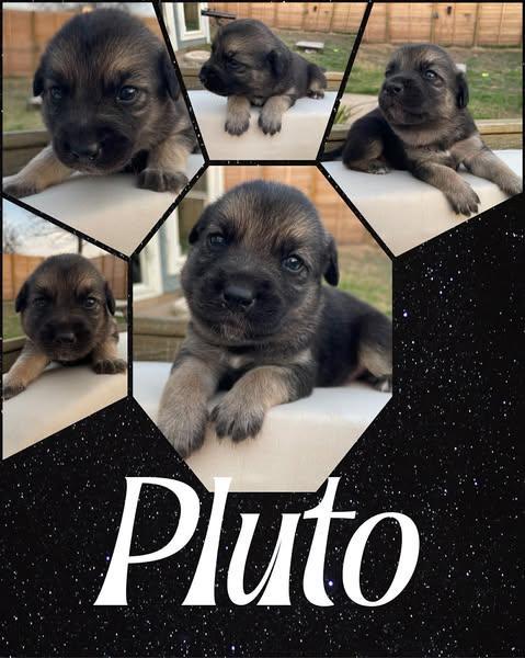 Pluto