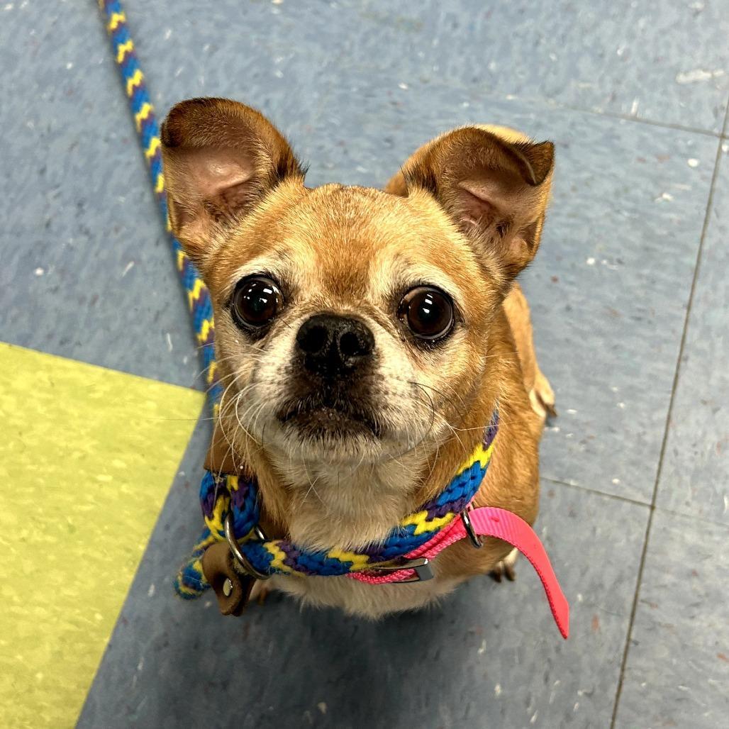 Cowboy Kelvin photo 1