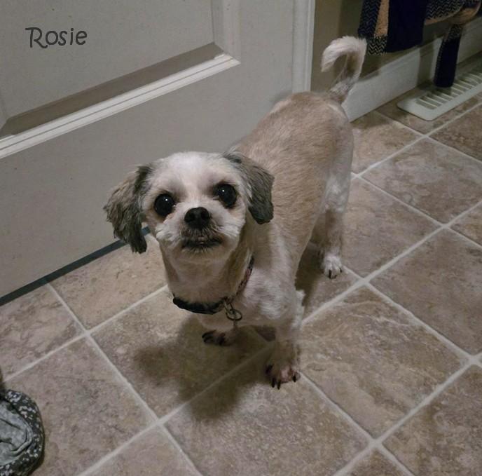 Rosie
