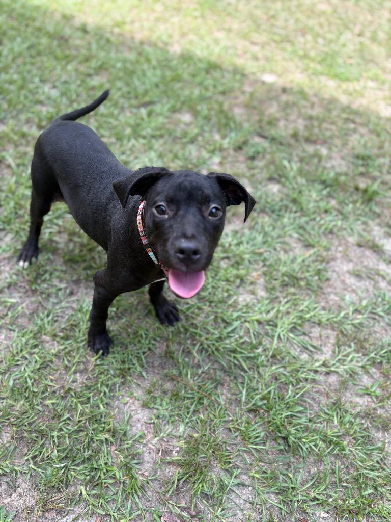 Lois Lane🦸🏻♀️