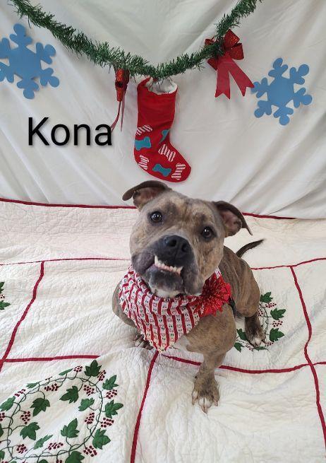 Kona