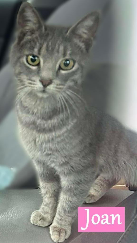 Joan