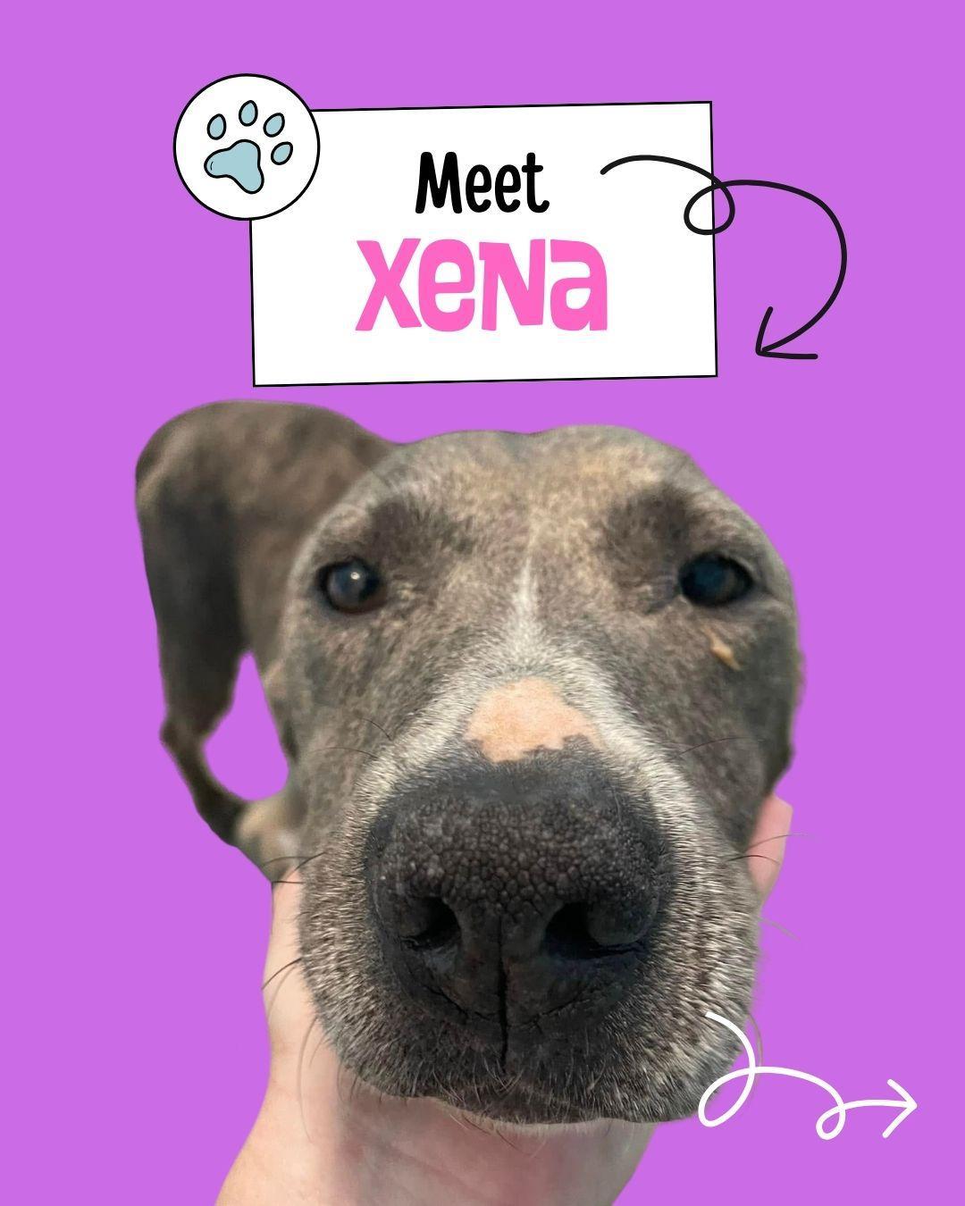 Xena
