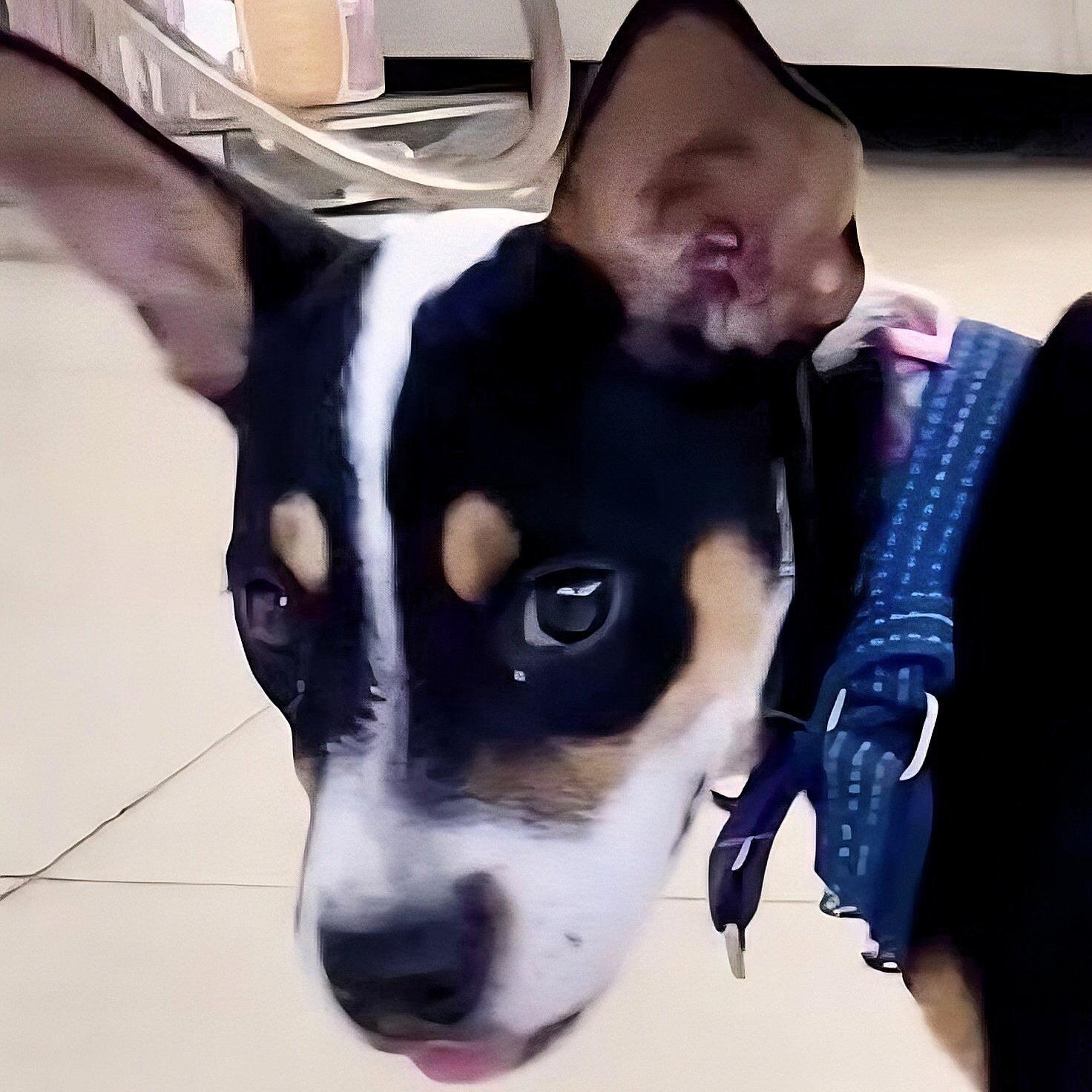 Precious Pretty "the Sweetheart