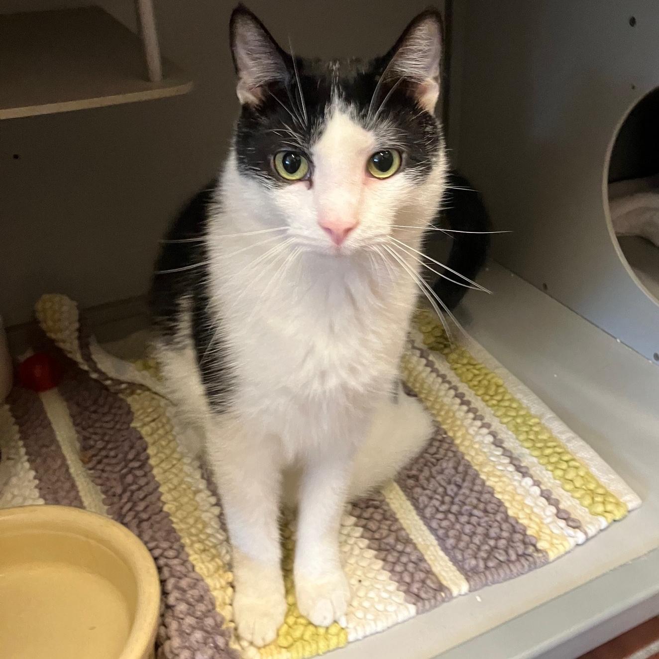 Tobi In Prison Program